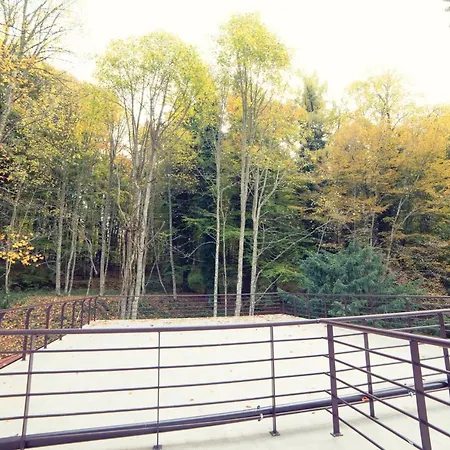 מלון Elda ויקו דל גרגאנו