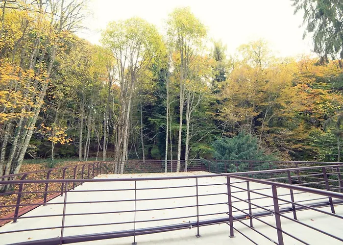 Hotel Elda Vico Del Gargano